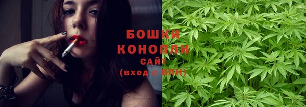 бошки Бородино